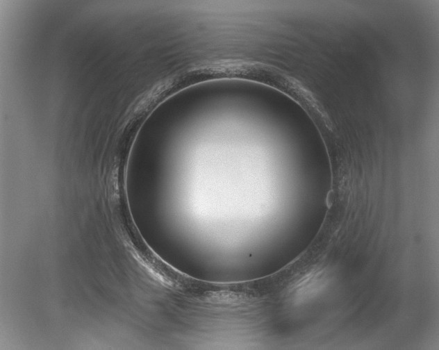 X0000078870633200611131218