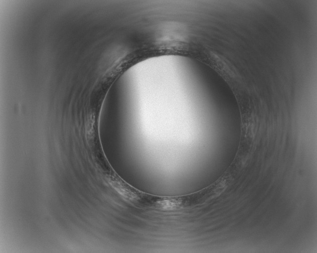 X0000078870660200611131218