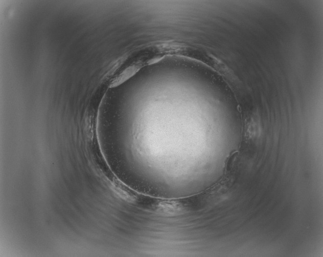 X0000078870666200611131218