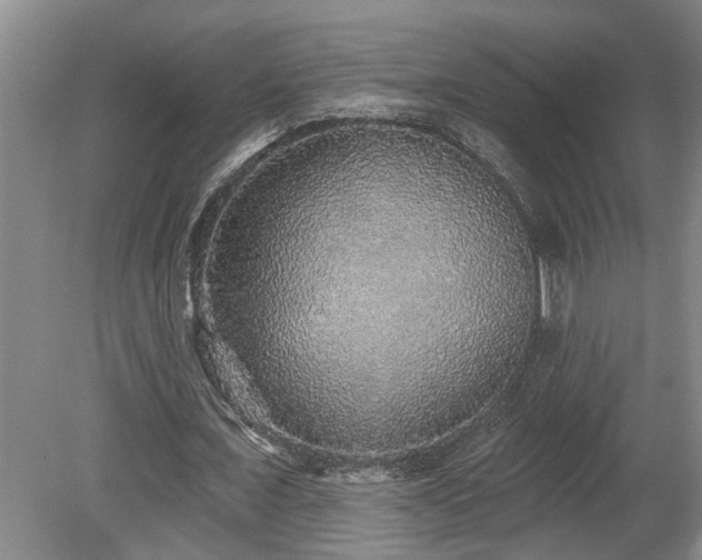 X0000078870675200611131217