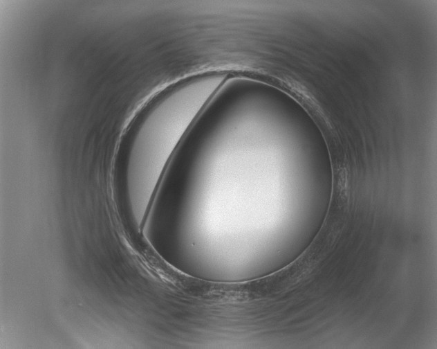 X0000078870676200611131217