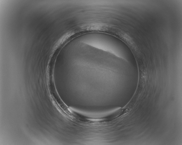 X0000078870678200611131217