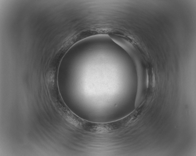 X0000078870697200611131217