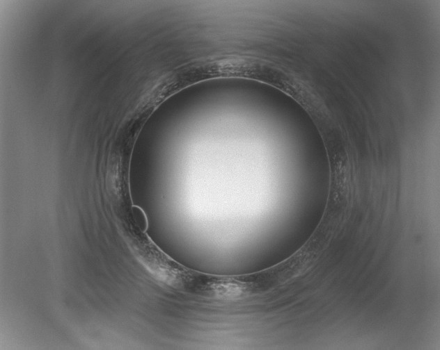 X0000078870698200611131217