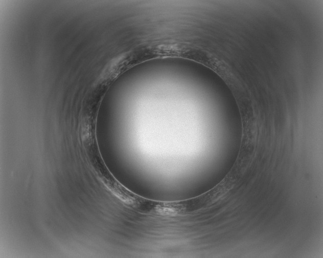 X0000078870706200611131217