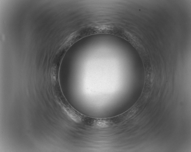 X0000078870710200611131217