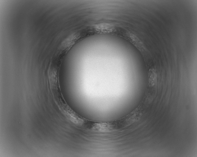 X0000078870713200611131217