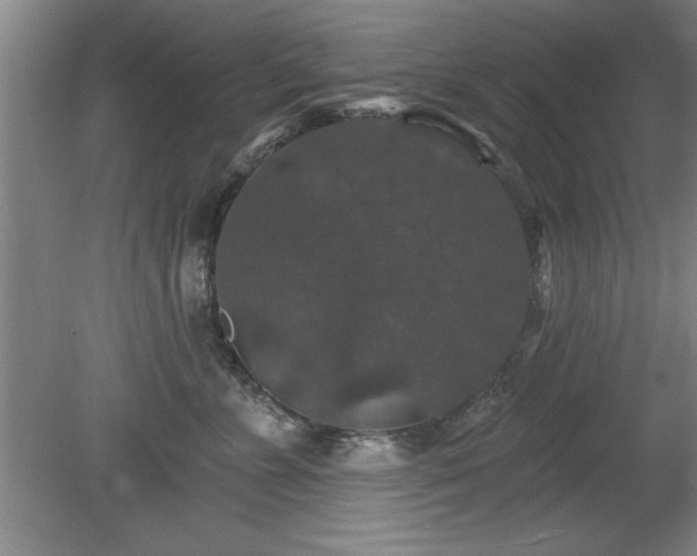 X0000078870715200611131217