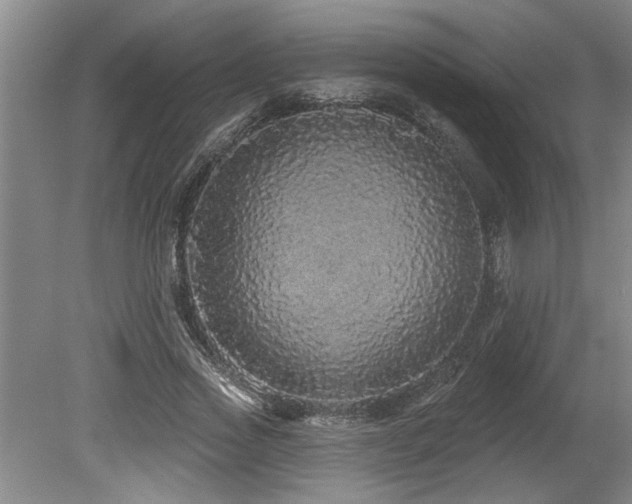 X0000078870733200611131216
