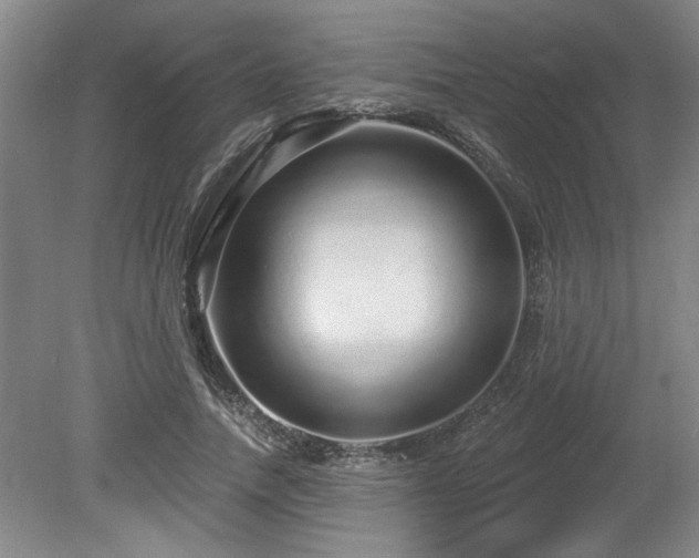 X0000078870738200611131216