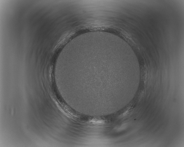 X0000078870742200611131216