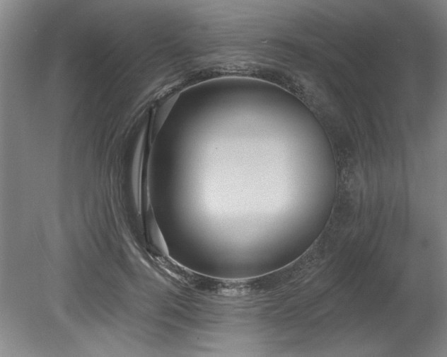 X0000078870744200611131216