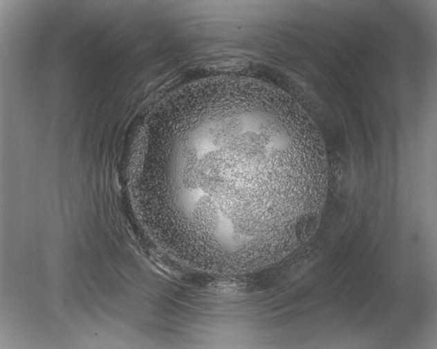 X0000078870745200611131216