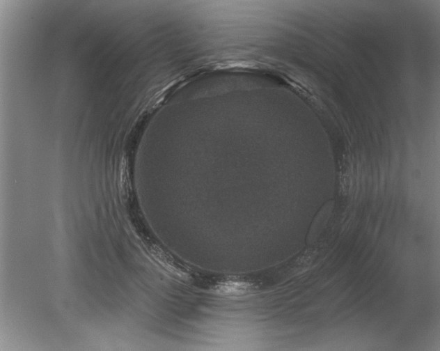 X0000078870748200611131216