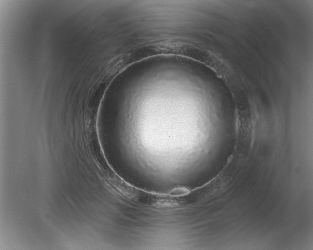 X0000078870749200611131216