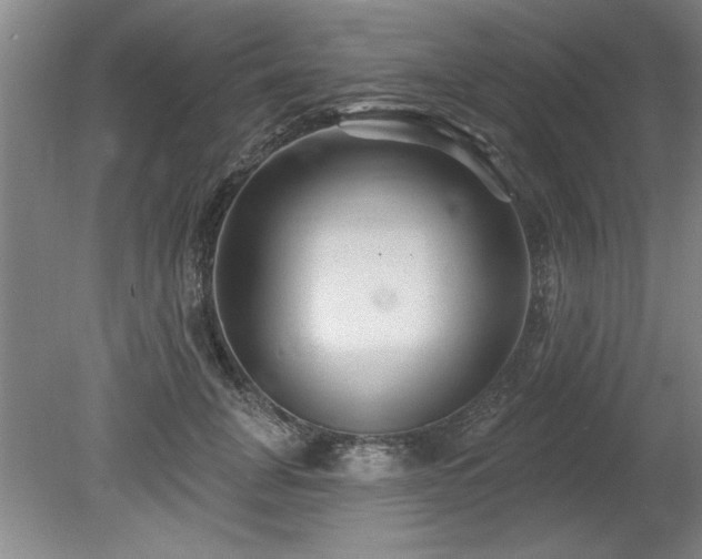 X0000078870751200611131216