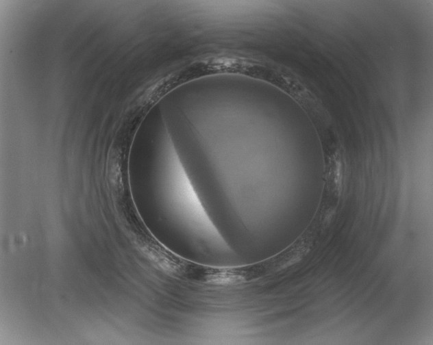 X0000078870754200611131216