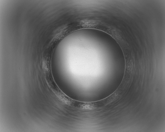 X0000078870755200611131216