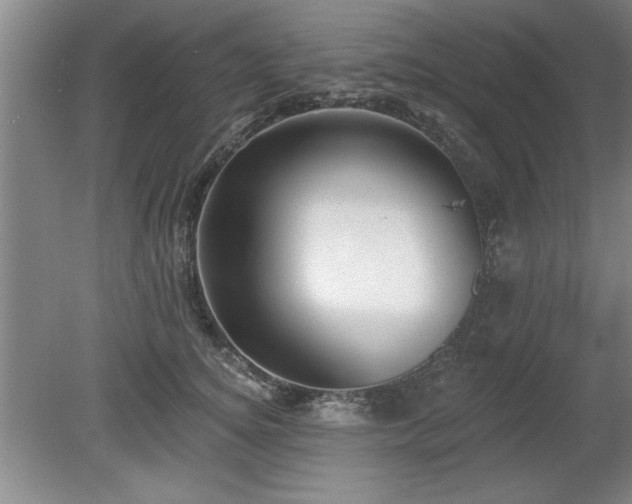 X0000078870756200611131216