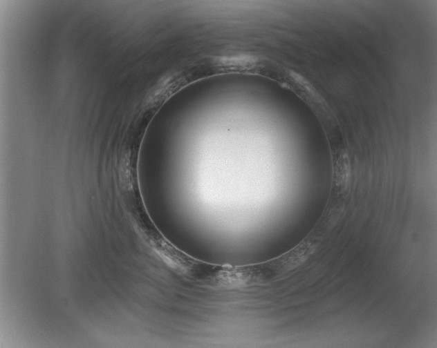 X0000078870764200611131217