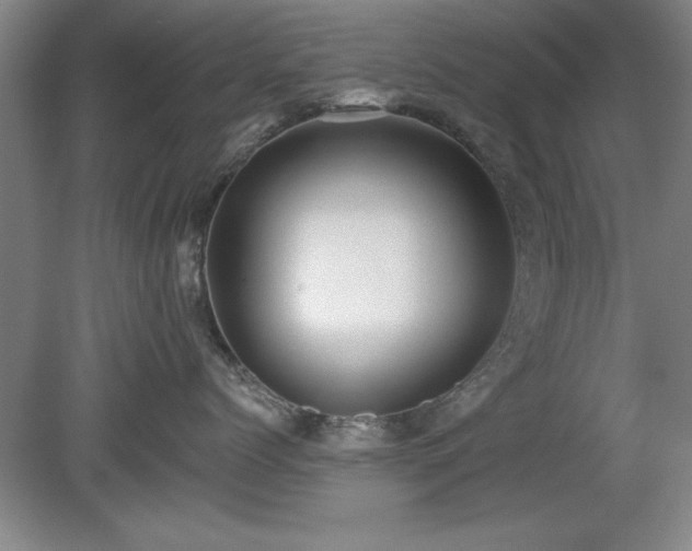 X0000078870768200611131217