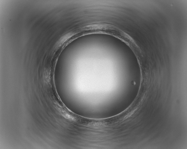 X0000078870778200611131216