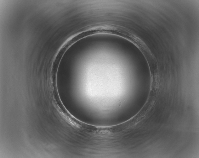 X0000078870784200611131216