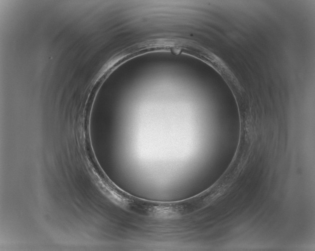 X0000078870794200611131215