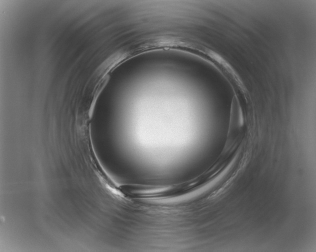 X0000078870801200611131215