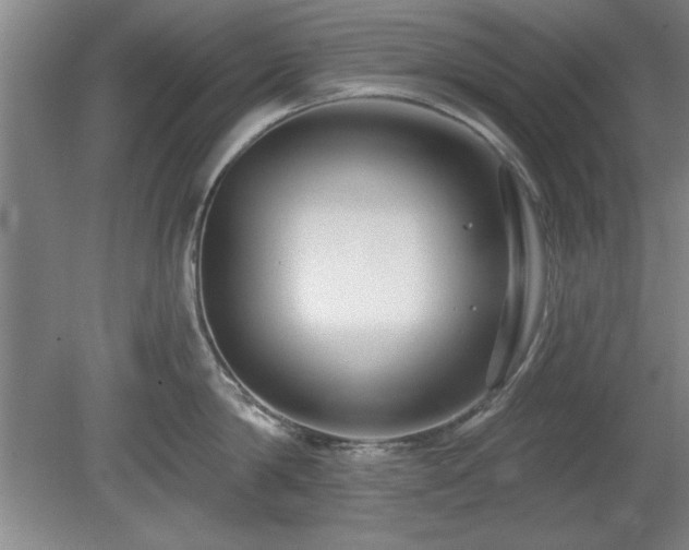 X0000078870814200611131215