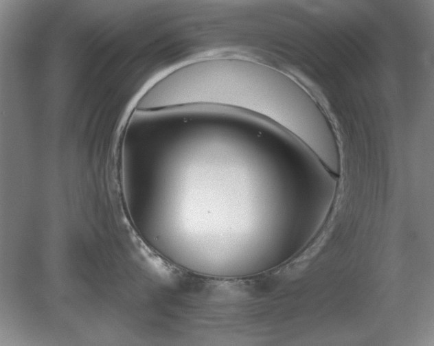 X0000078870816200611131215