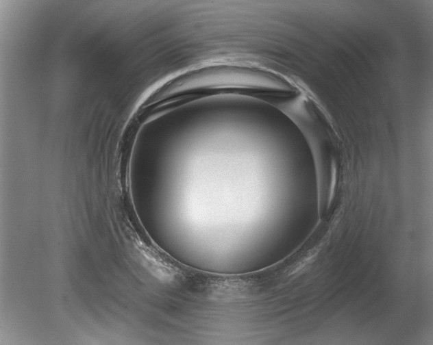 X0000078870830200611131215