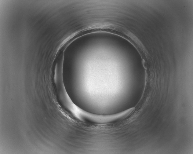 X0000078870834200611131215
