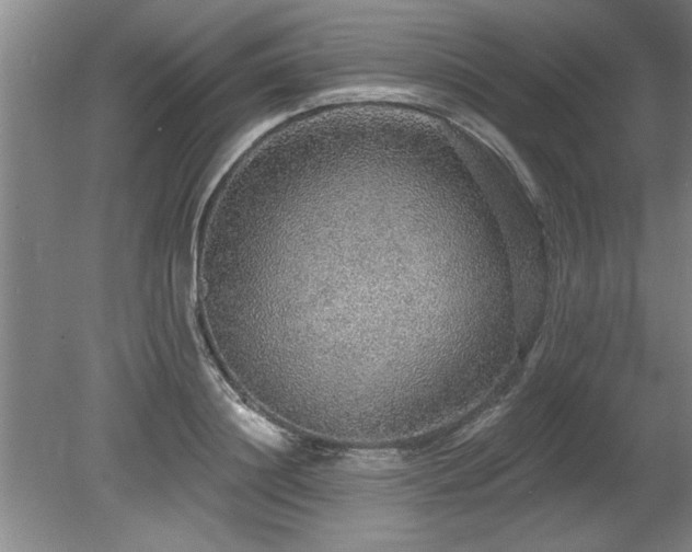 X0000078870844200611131215