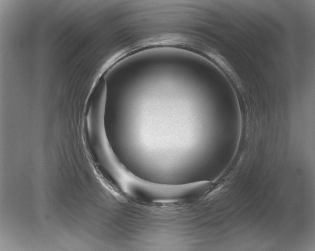 X0000078870850200611131215