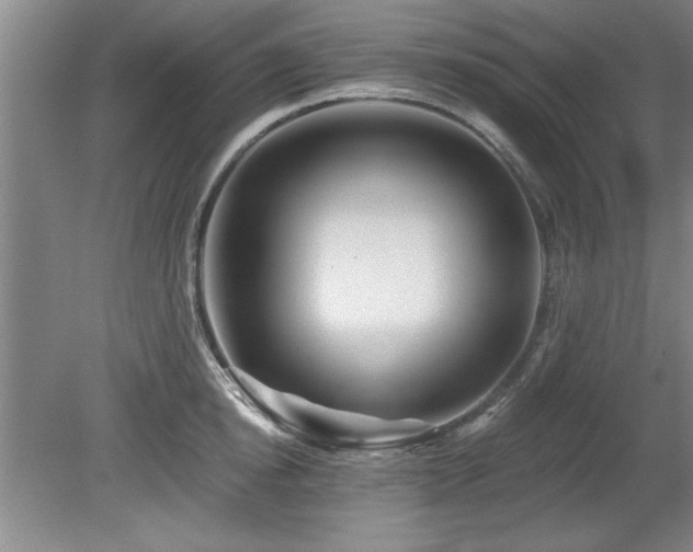 X0000078870854200611131215