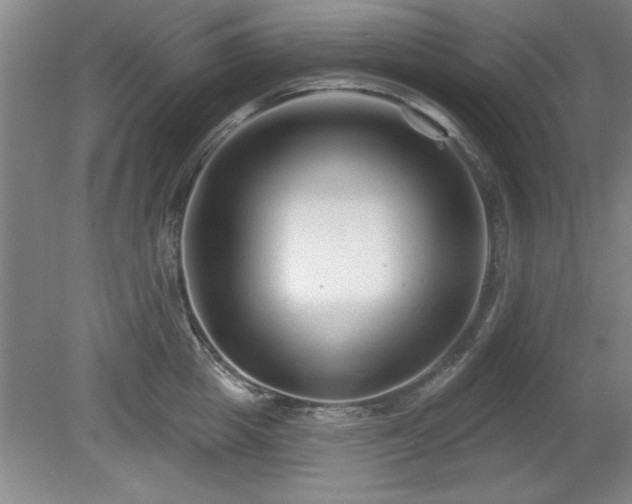 X0000078870857200611131215