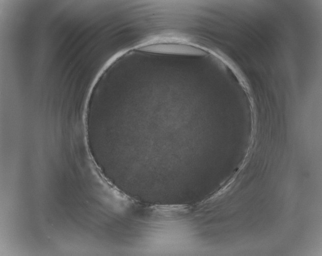X0000078870864200611131215