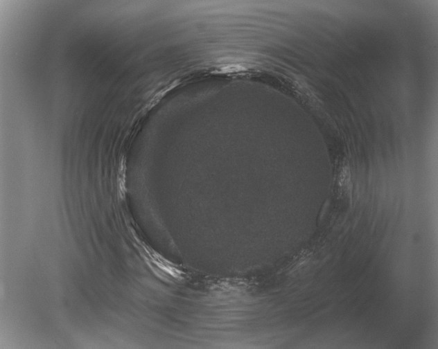 X0000078870868200611131214