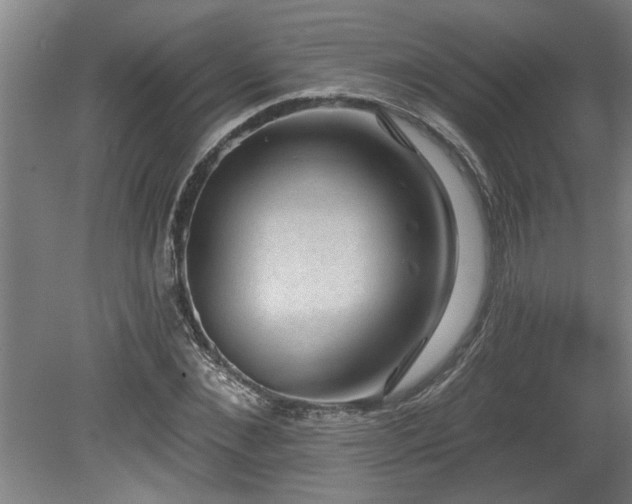 X0000078870876200611131214