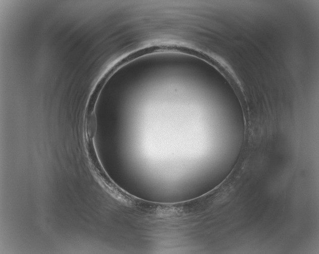 X0000078870887200611131214