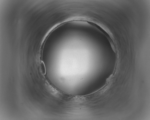 X0000078870912200611131213