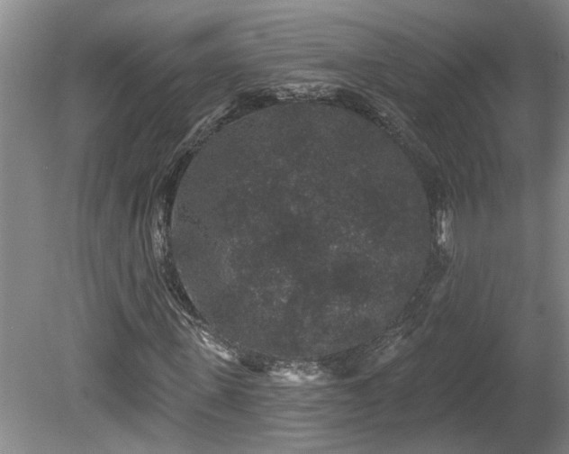 X0000078870915200611131213