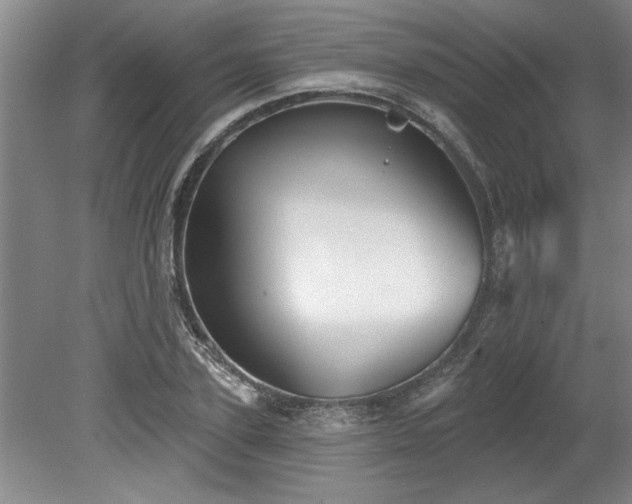 X0000078870931200611131213