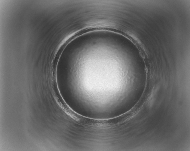 X0000078870933200611131213
