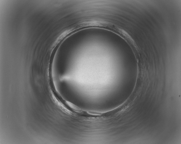 X0000078870938200611131213