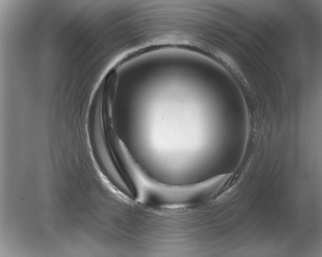 X0000078870942200611131213