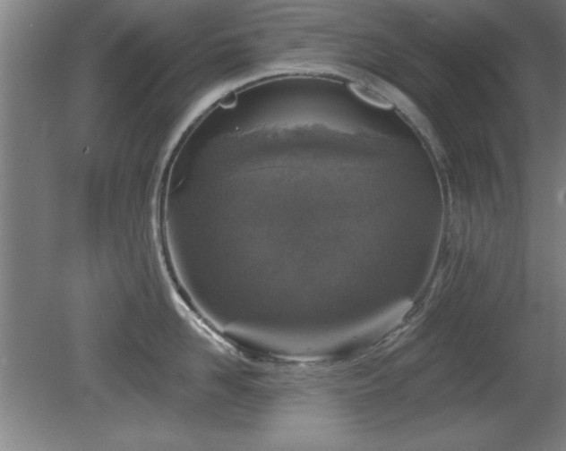 X0000078870958200611131213