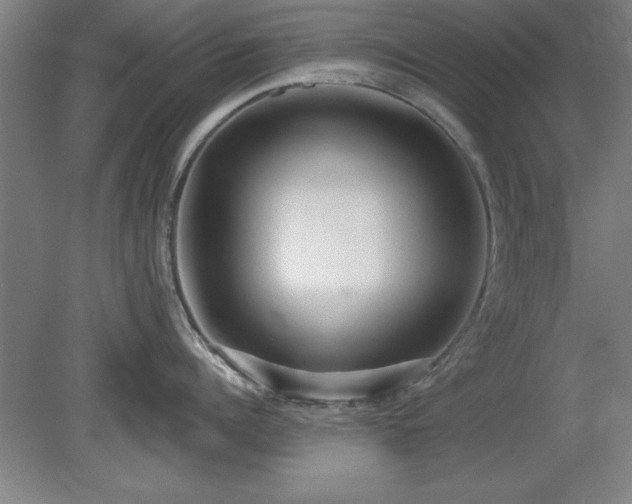 X0000078870960200611131213