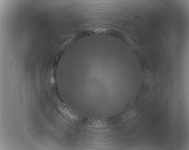 X0000078870962200611131213